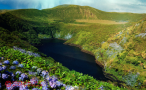 Parque Natural das Flores dos Açores